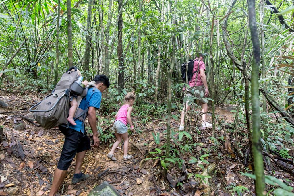 Trekking dans la jungle de Khao Sok