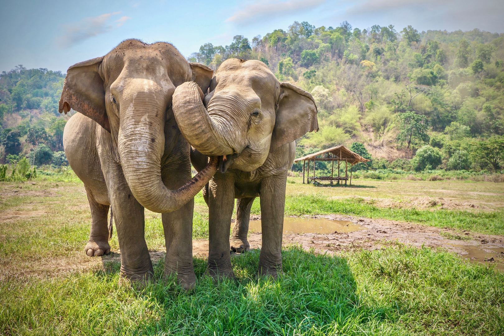 Les incontournables de la Thaïlande en deux semaines - Bangkok, Nord, Krabi voyage sur mesure avec guide francophone - Image 12